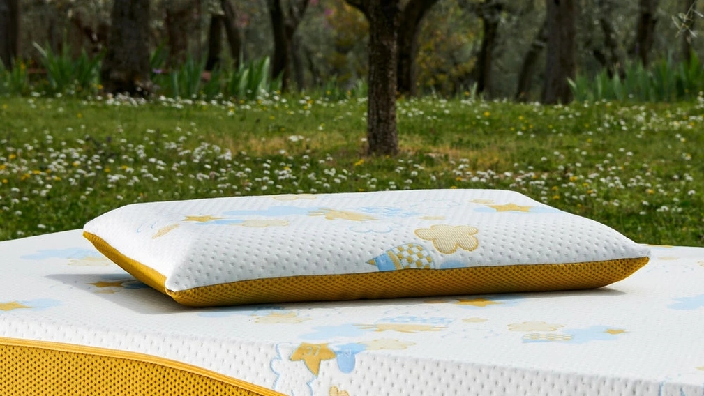 Guanciale Re:Evolution in my form di Dorelan