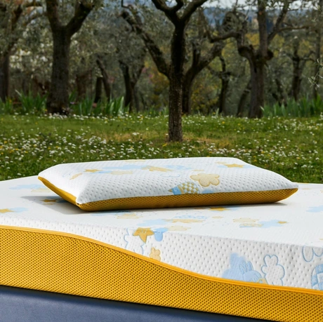 Guanciale Re:Evolution in my form di Dorelan