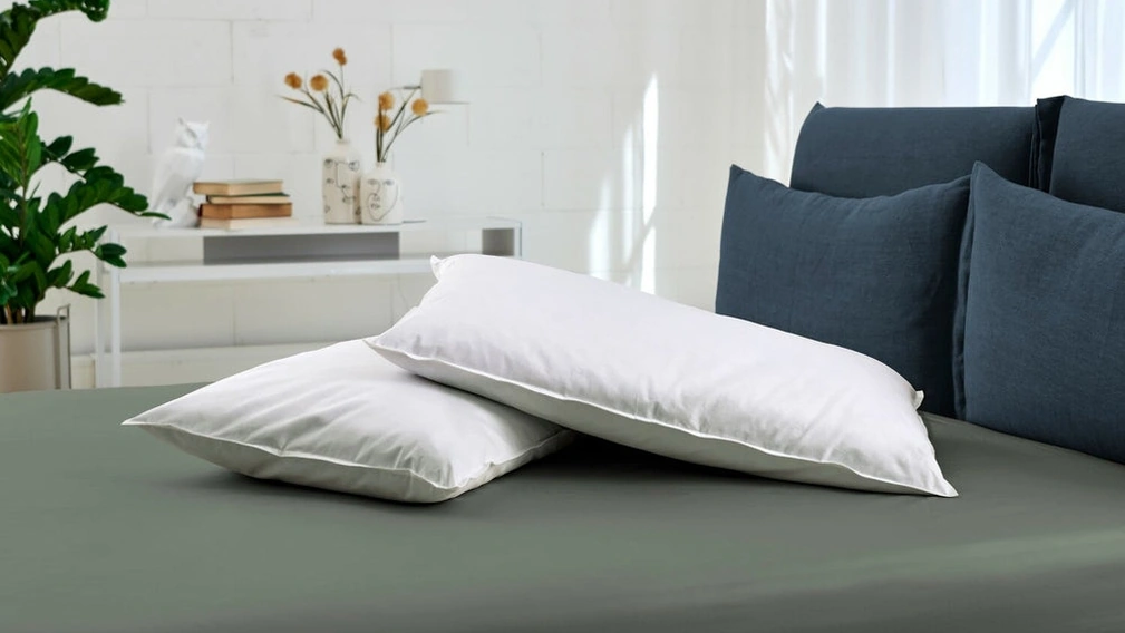 Cuscino in piuma Save di Dorelan