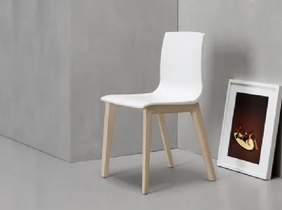 Sedia Smilla in tecnopolimero con gambe in massello di faggio di Scab Design