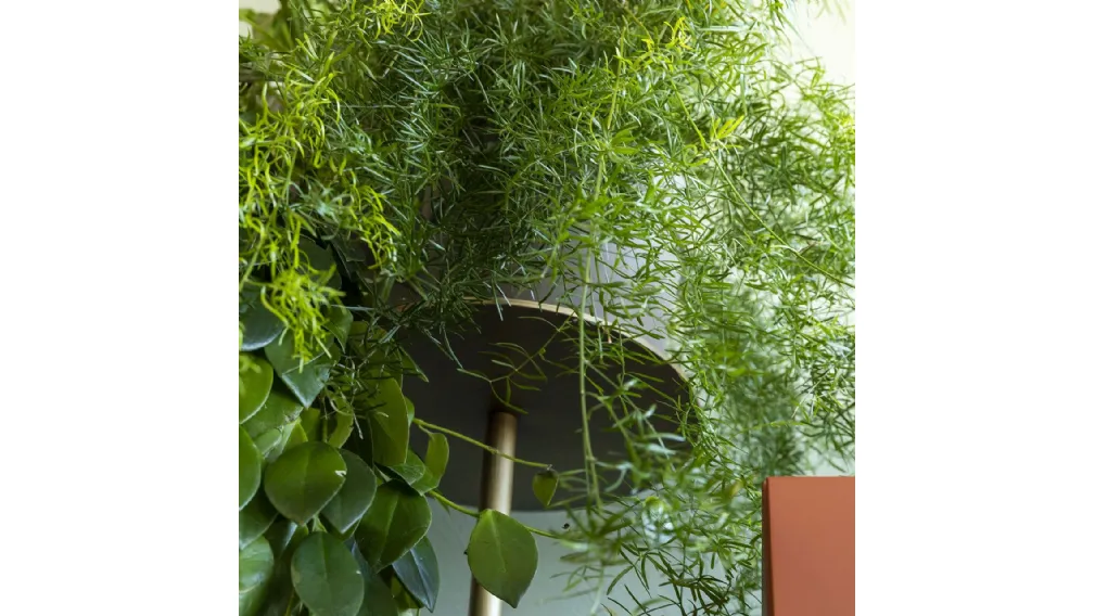IKEBANA 