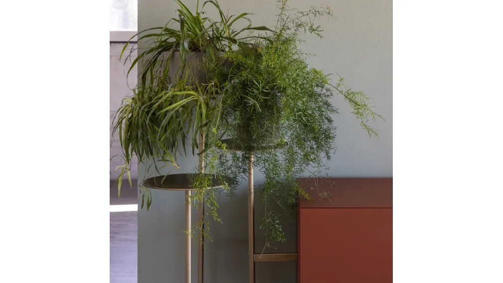 IKEBANA 