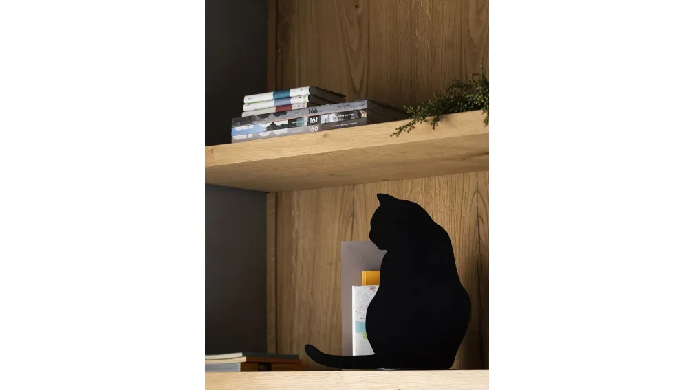 Ombra di Gatto