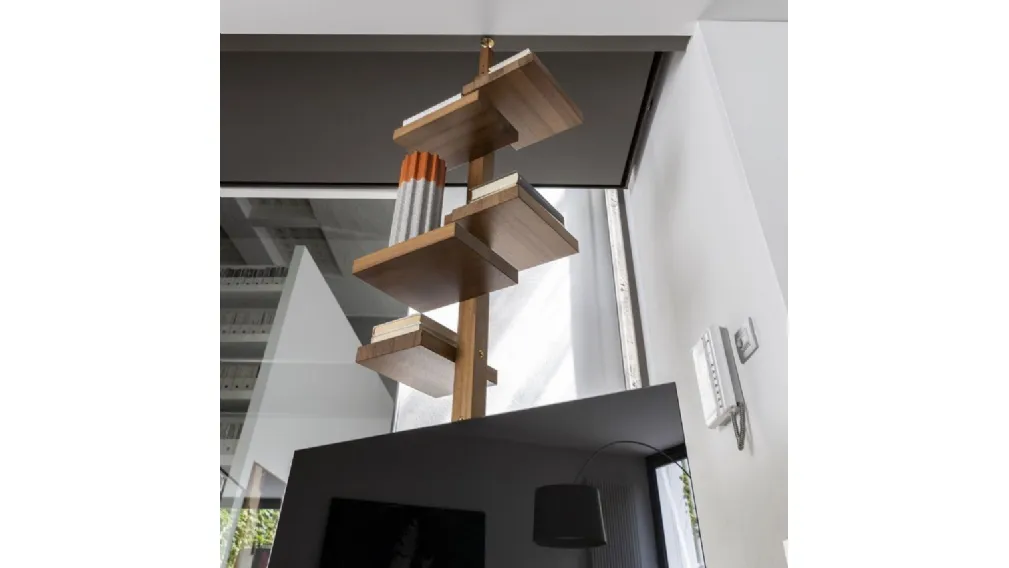  ADELAIDE WOOD TV