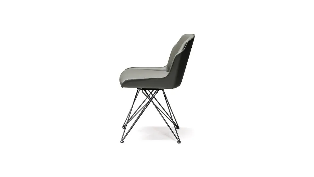 FLAMINIA 