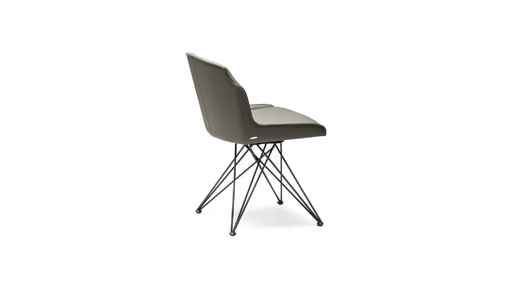 FLAMINIA 