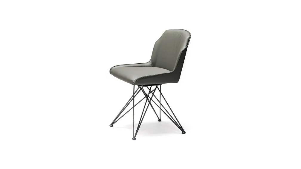 FLAMINIA 