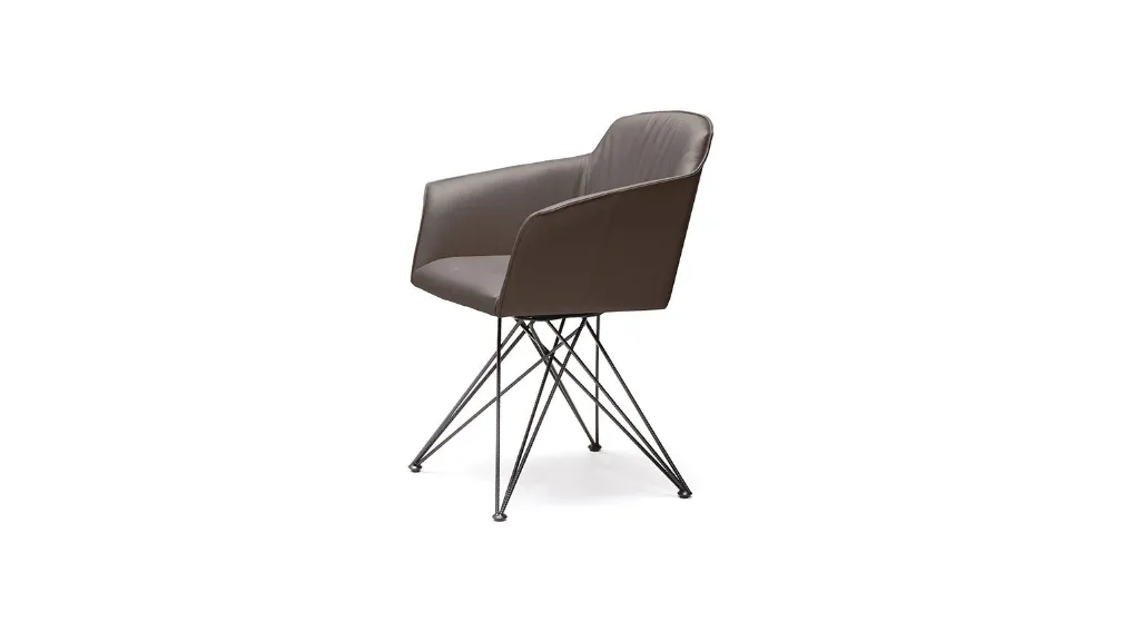 FLAMINIA 