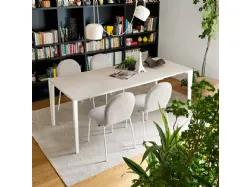 Sedie riley mid connubia: eleganza e comfort per il tuo arredamento casa